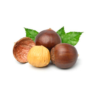 خرید و قیمت شاه بلوط