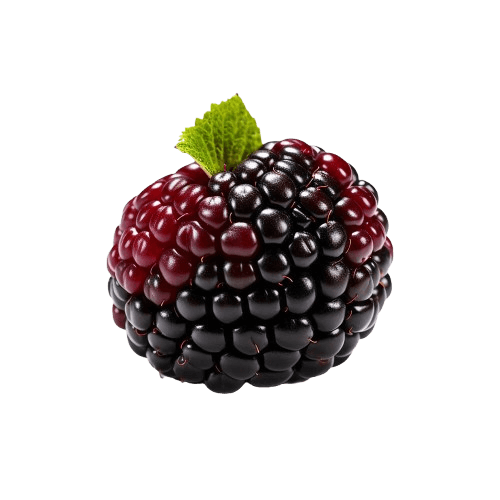 black-raspberry-png